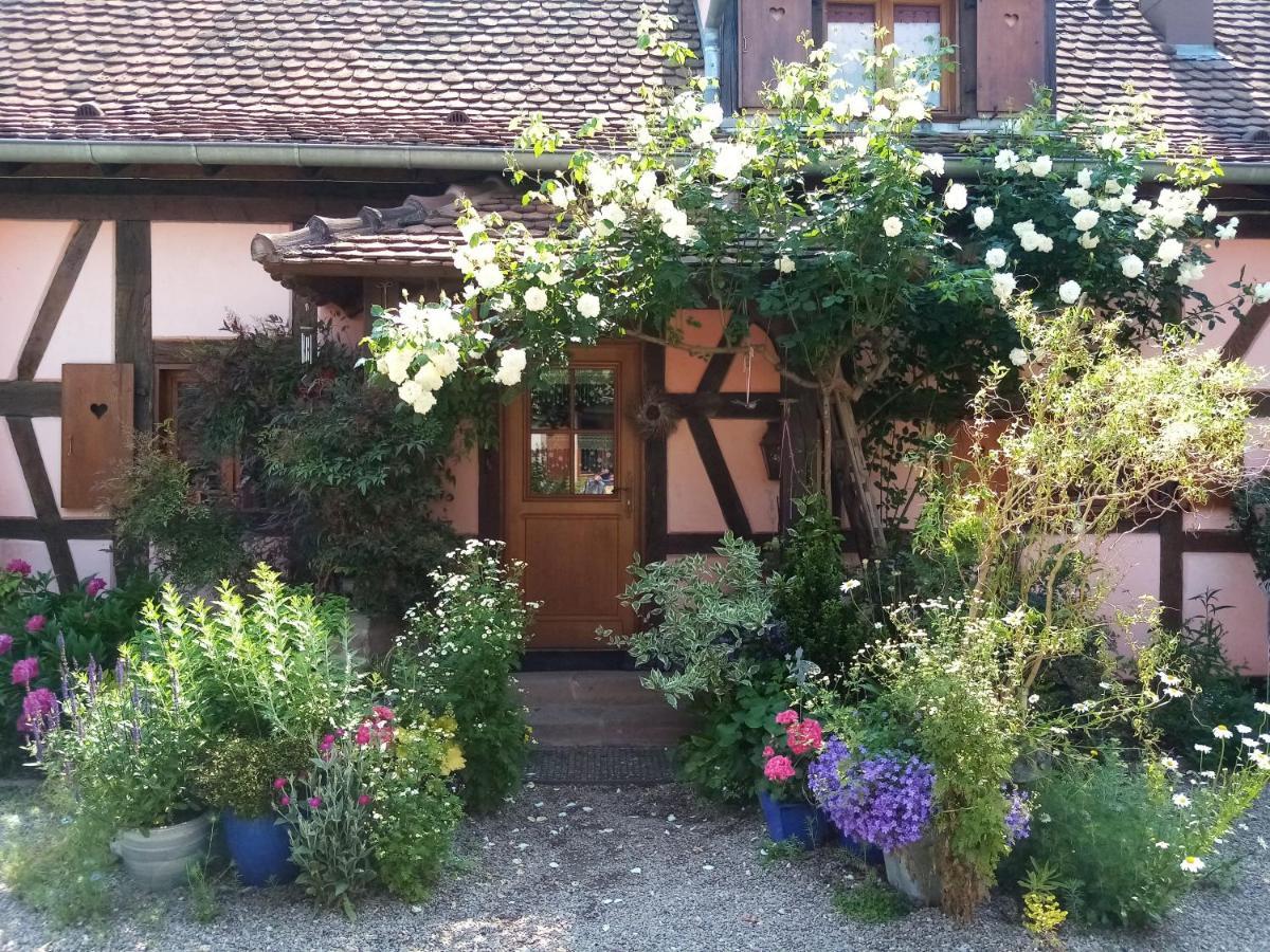 Hissele Bed and Breakfast Hilsenheim Εξωτερικό φωτογραφία