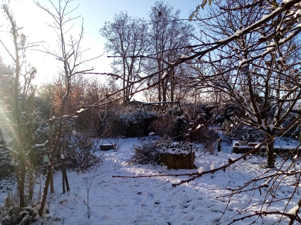 Hissele Bed and Breakfast Hilsenheim Εξωτερικό φωτογραφία
