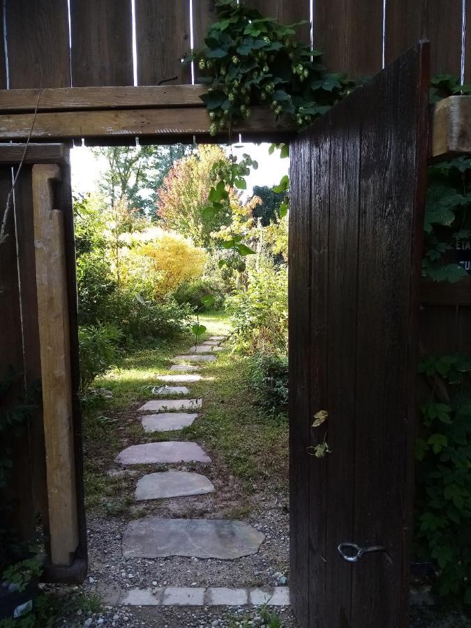 Hissele Bed and Breakfast Hilsenheim Εξωτερικό φωτογραφία