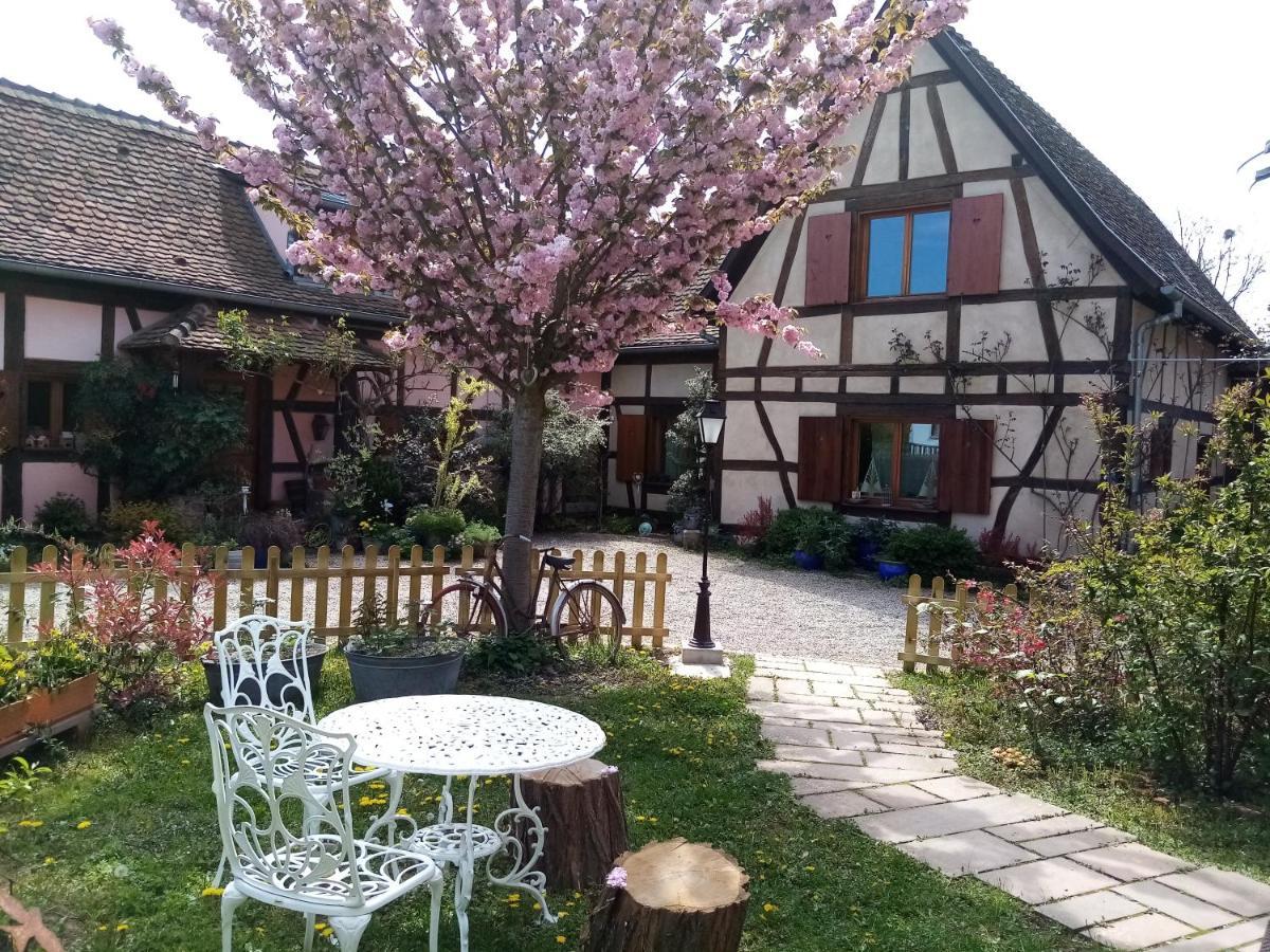 Hissele Bed and Breakfast Hilsenheim Εξωτερικό φωτογραφία